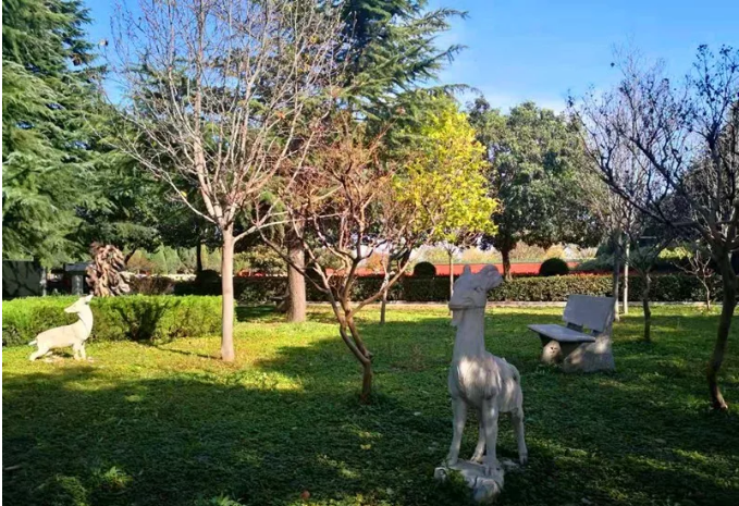 洛阳墓地